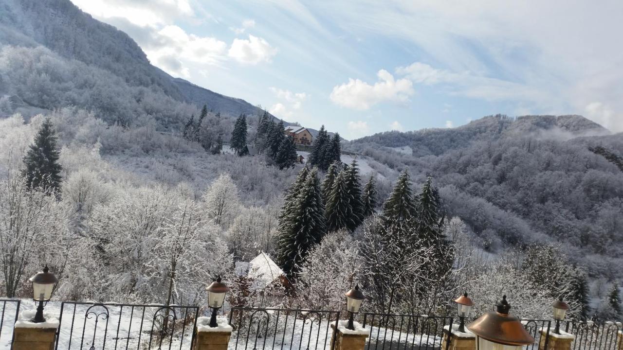 Pensiunea Dolvas Padis Exterior foto