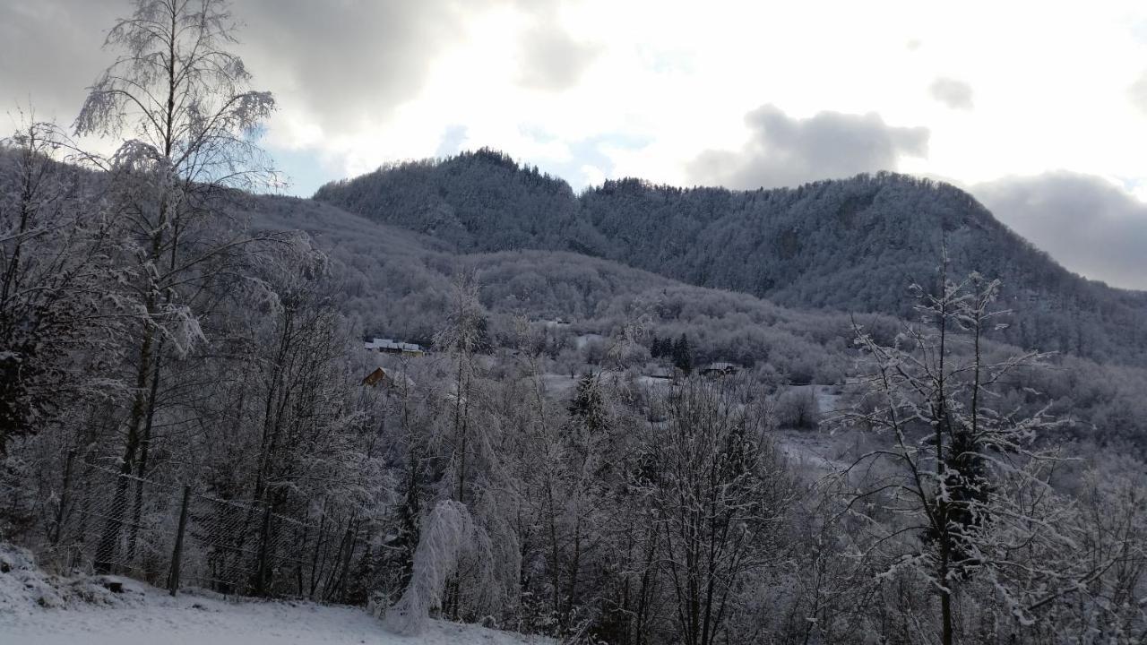 Pensiunea Dolvas Padis Exterior foto